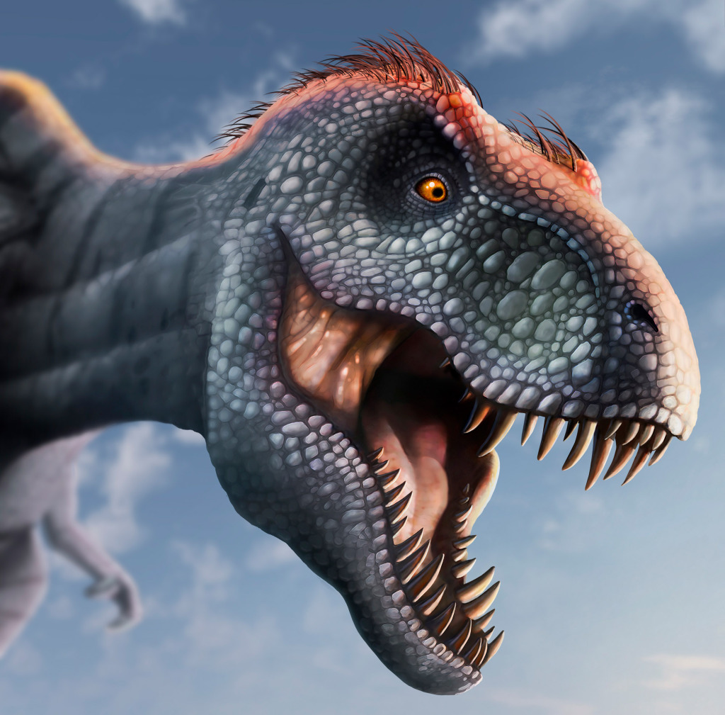 Tyrannosaurus rex head, illustration