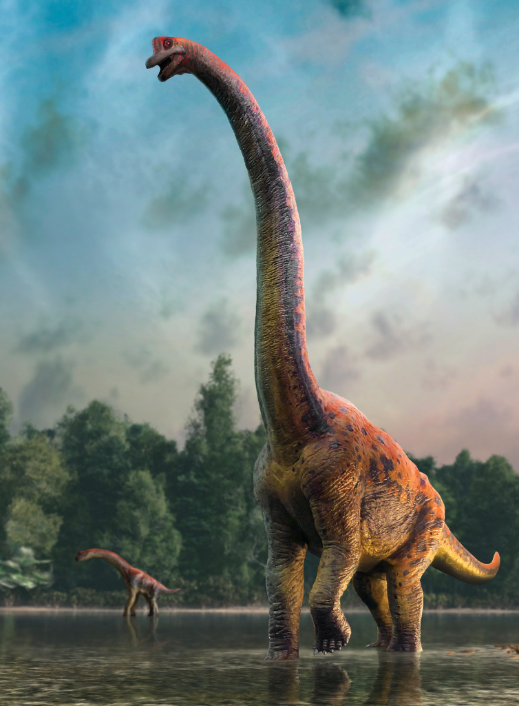 Giraffatitan, illustration