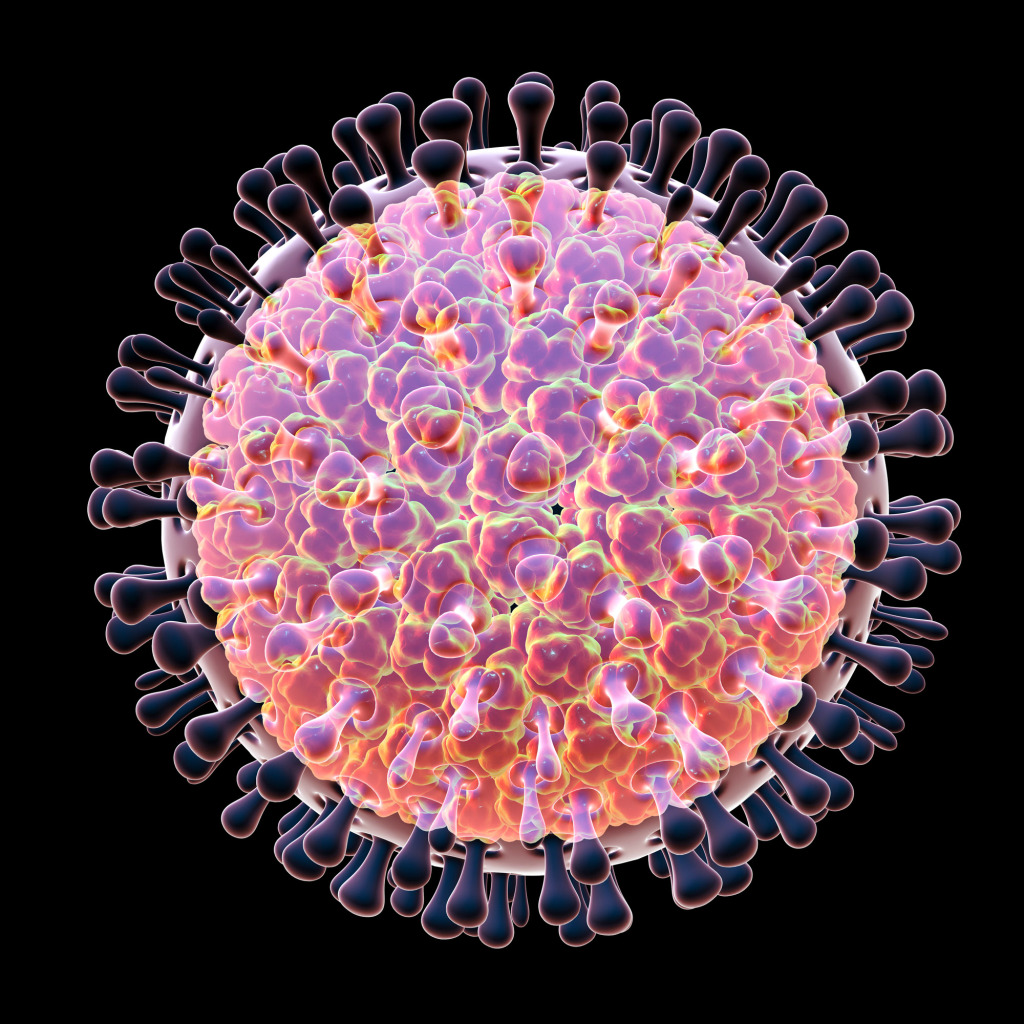 Rotavirus particle, illustration