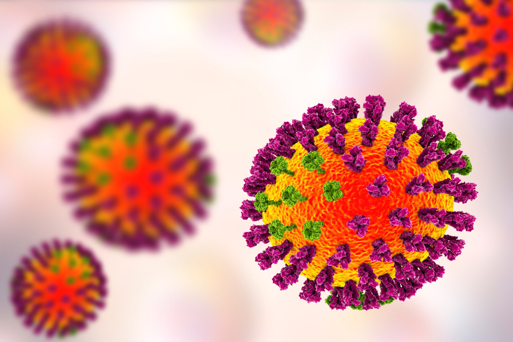 Flu viruses, illustration