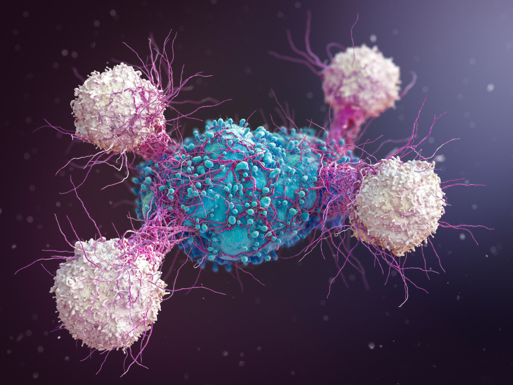 Immune response to cancer, illustration