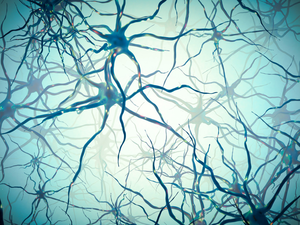 Neural network, illustration