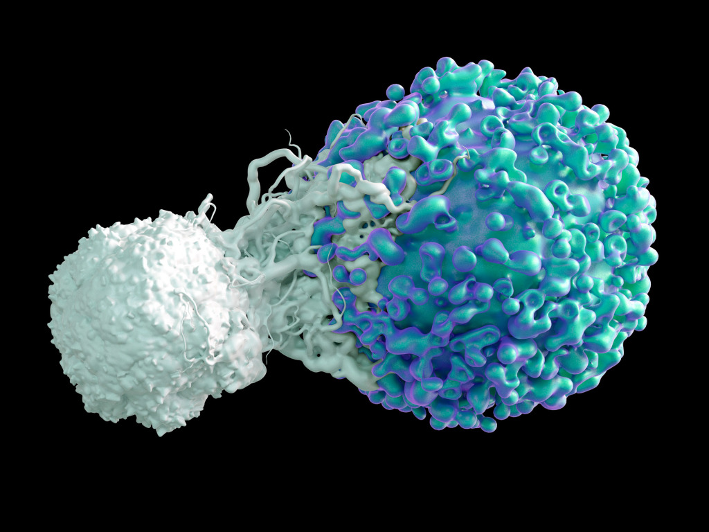 T cell attacking cancer cell