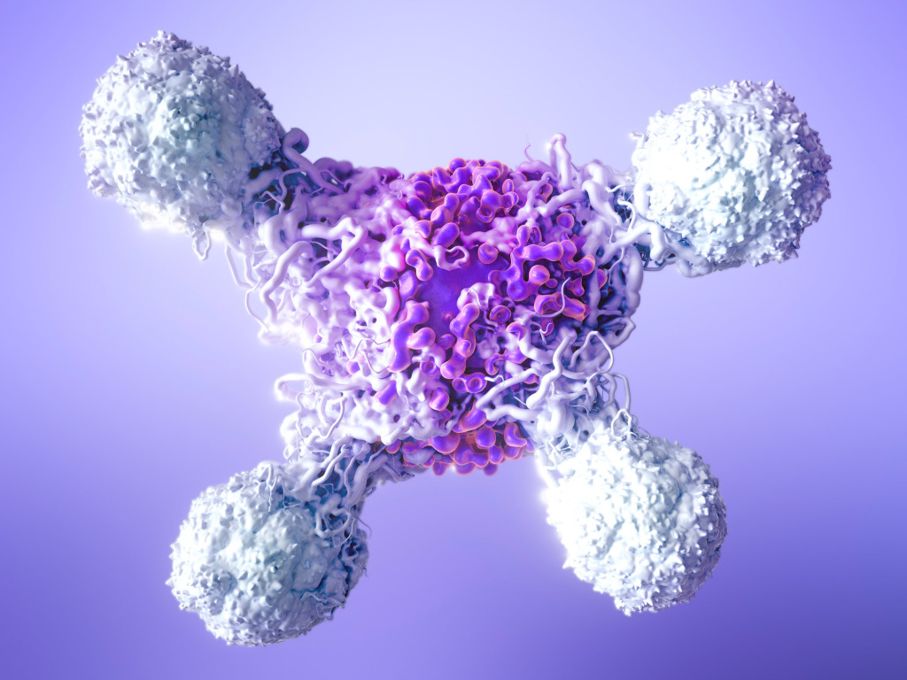 T cells attacking cancer cell