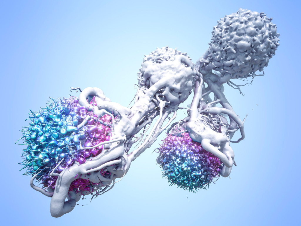 T cells attacking cancer cells