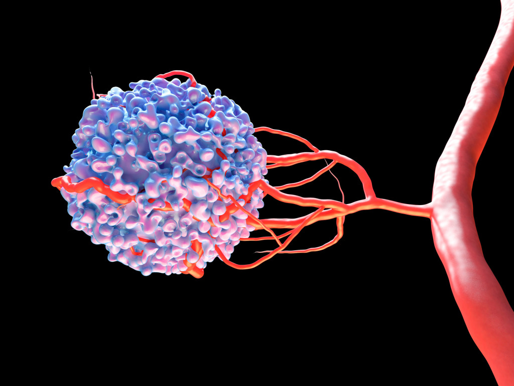 Blood vessel formation, illustration
