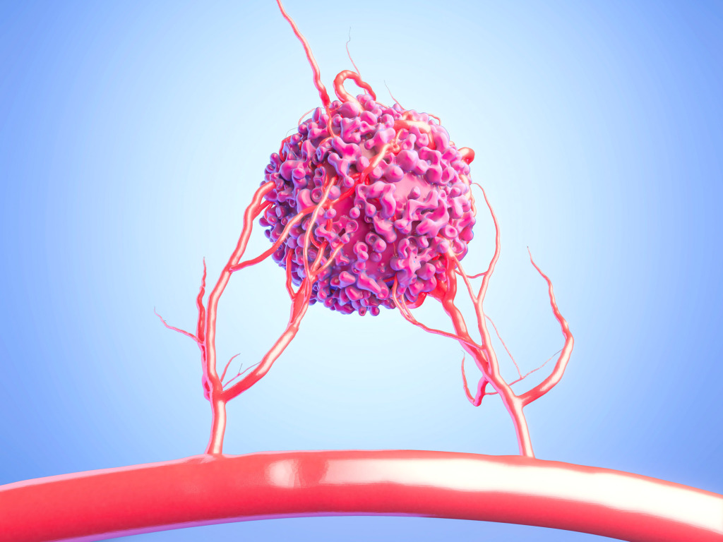 Blood vessel formation, illustration