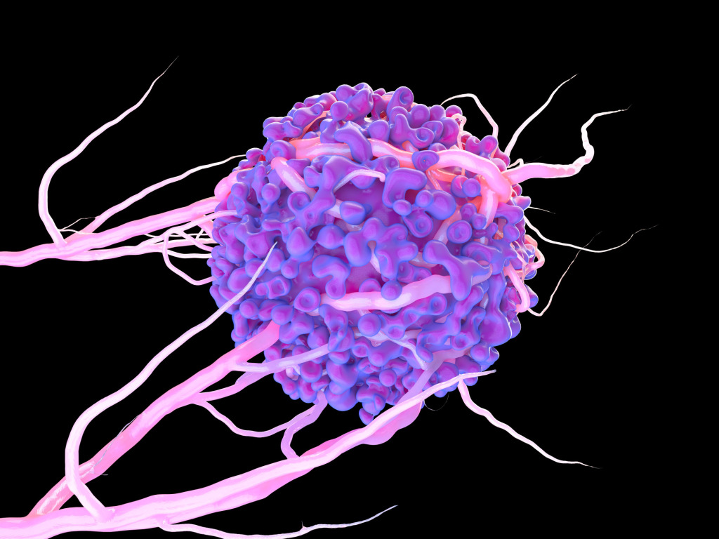 Blood vessel formation, illustration