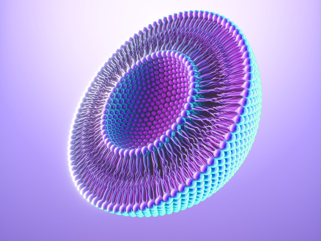 Liposome, artwork