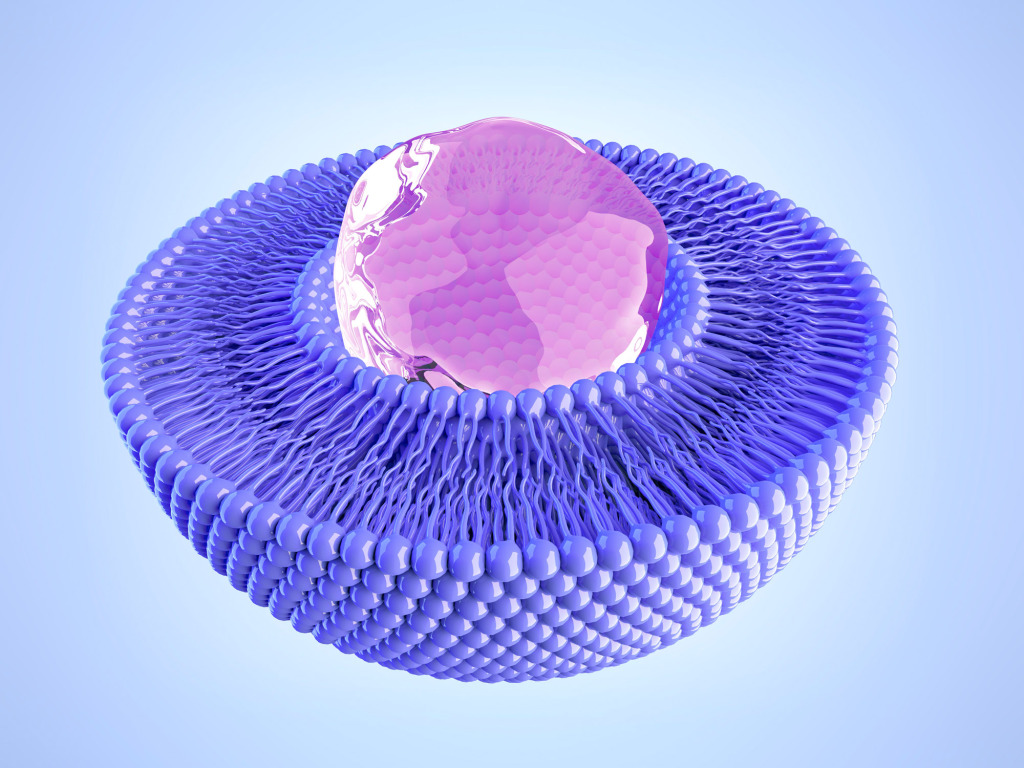 Liposome and water, artwork