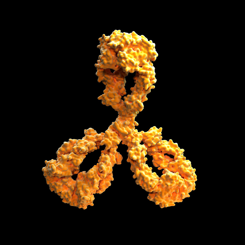 Cetuximab chemotherapy drug molecule