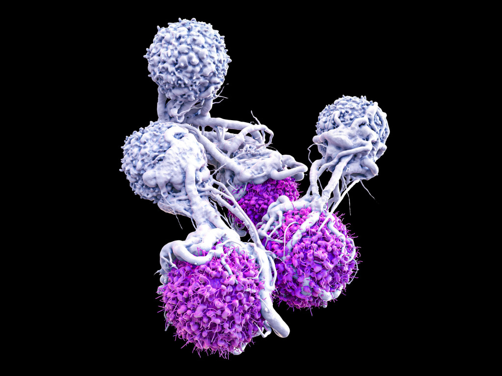 T cells attacking cancer cells, illustration