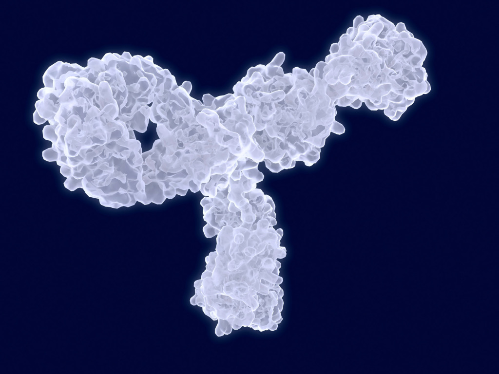 Antibody, artwork