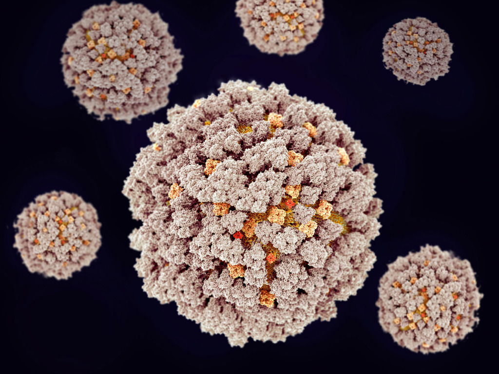 Flu virus particles, illustration