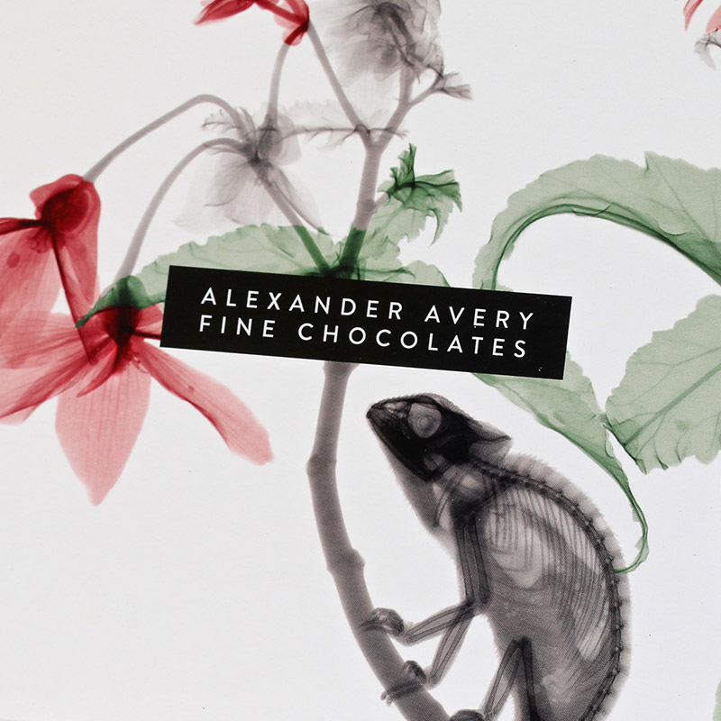 Alexander Avery Chocolate box - chameleon