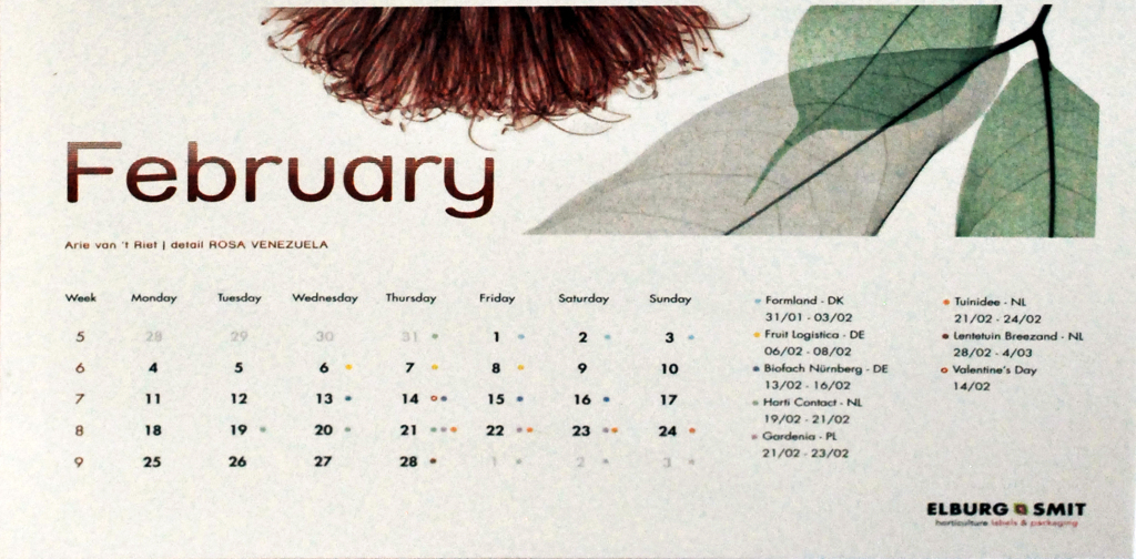 Calendar copy