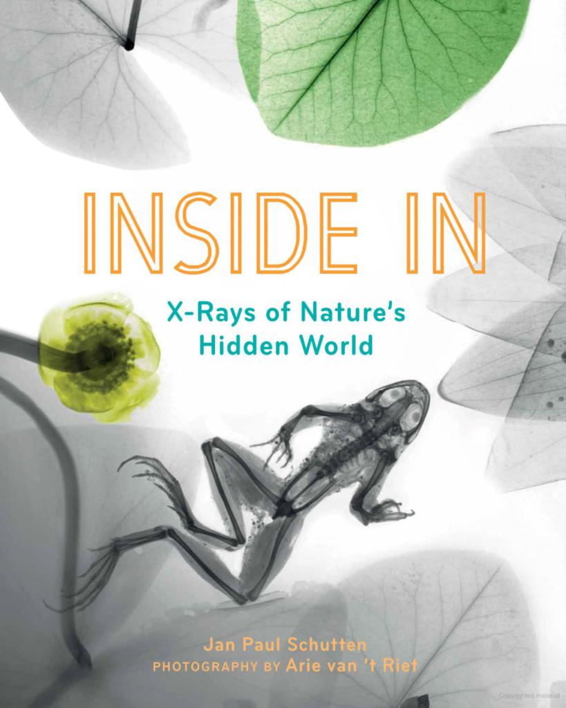 Inside in