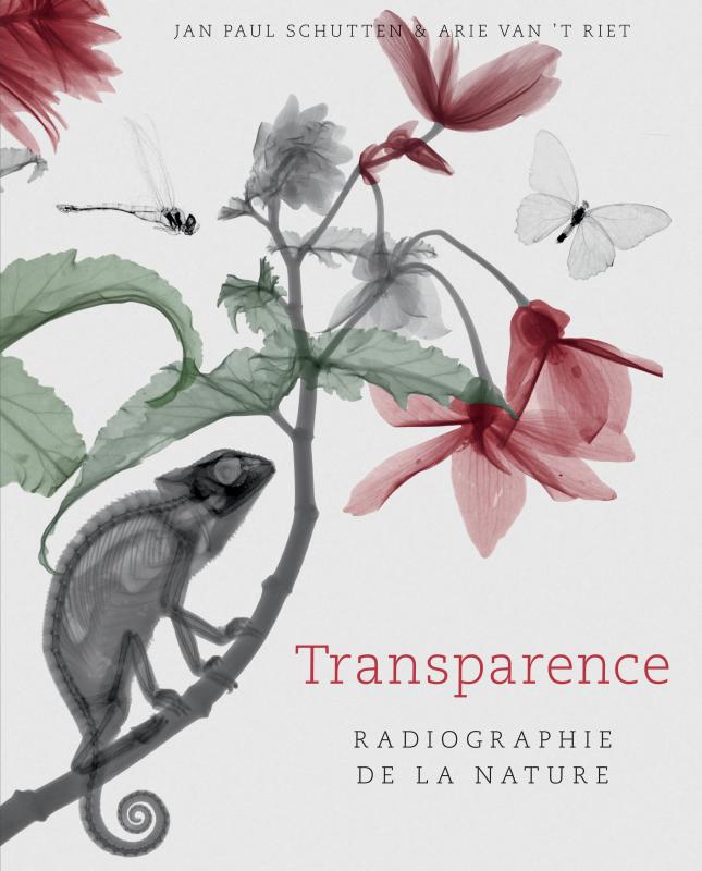 transparence