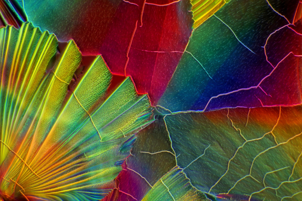Malic acid crystals, light micrograph