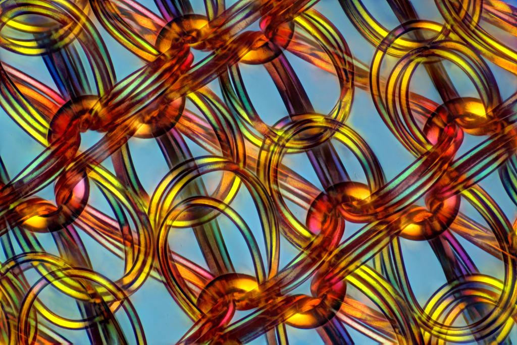 Pantyhose structure, light micrograph