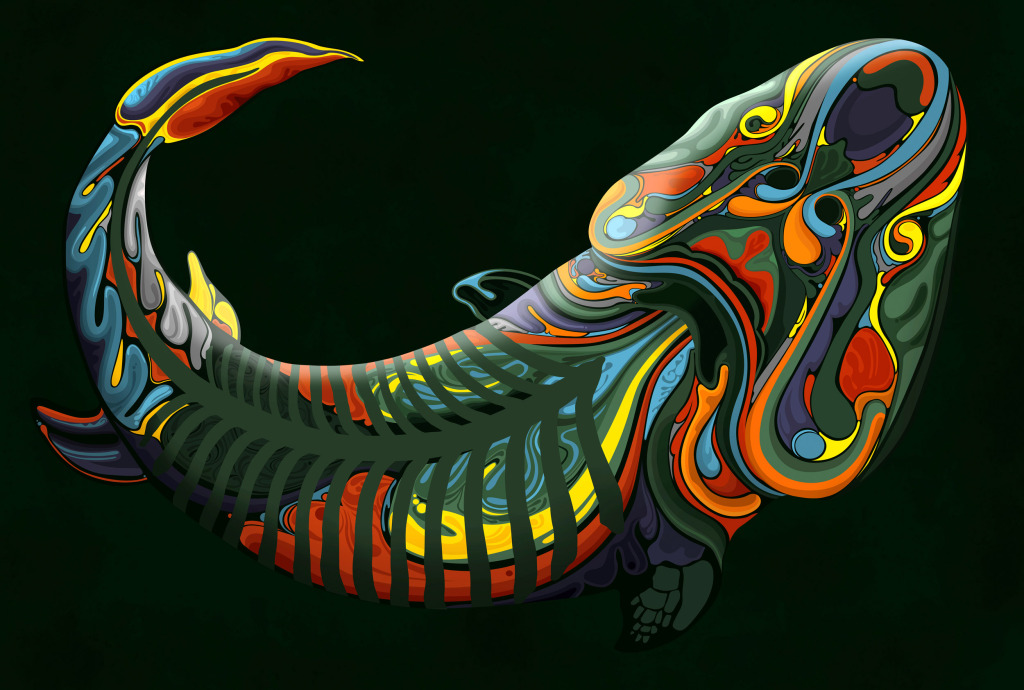 Tiktaalik prehistoric fish, illustration