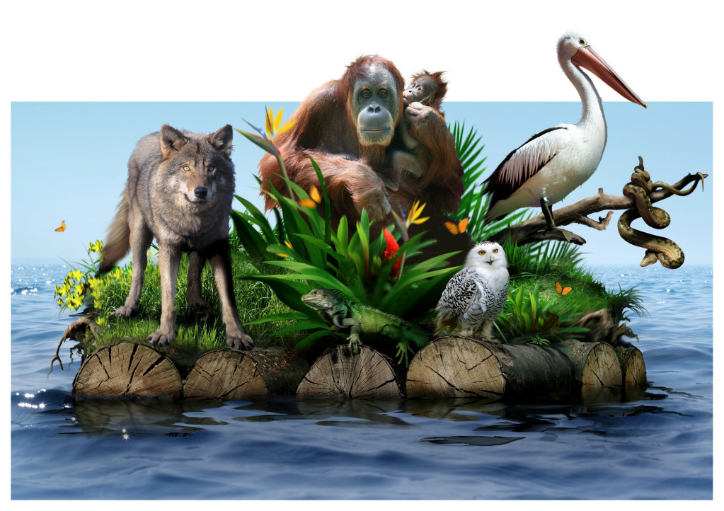 Endangered animals, conceptual image