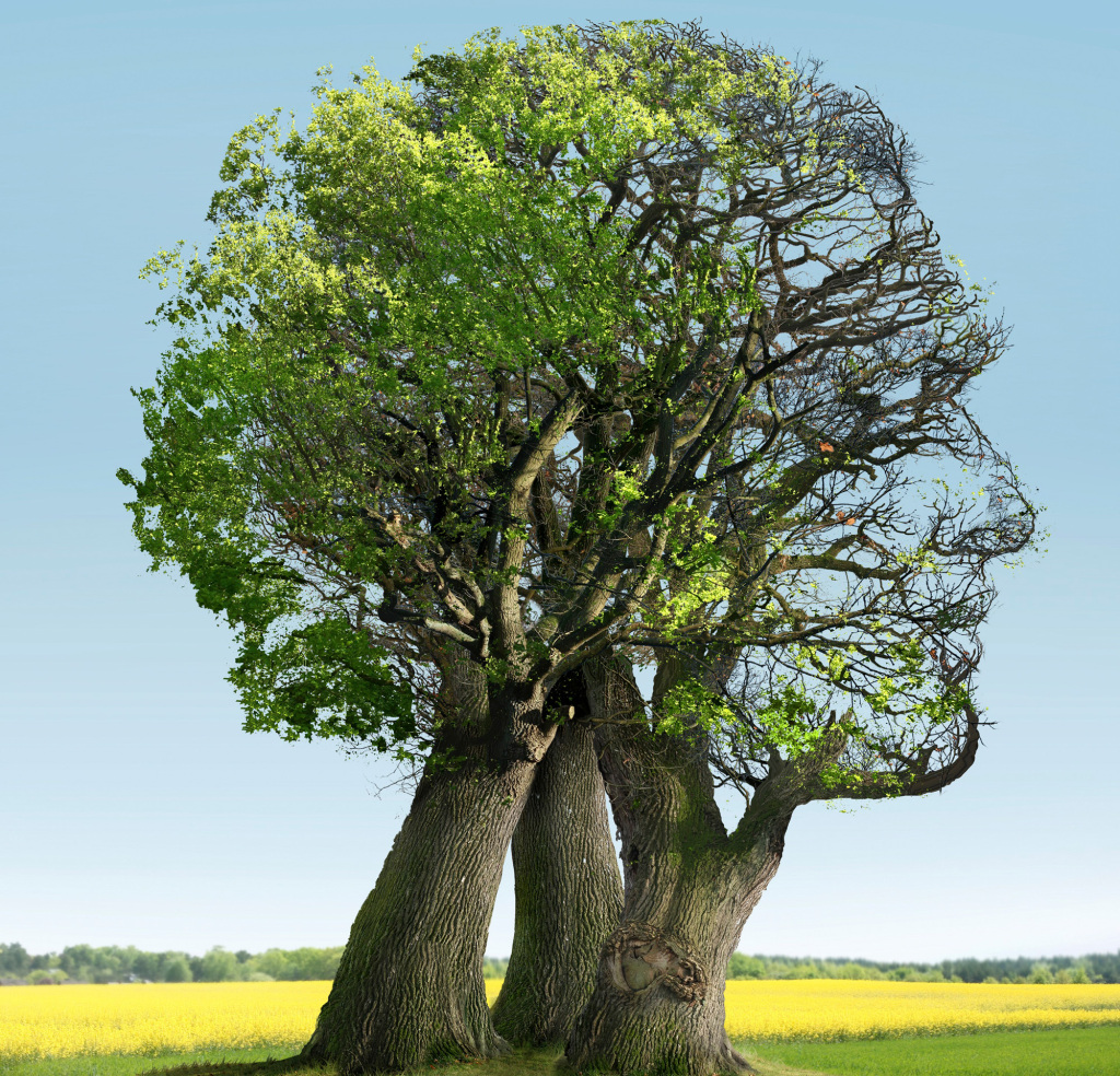 Ageing, conceptual artwork