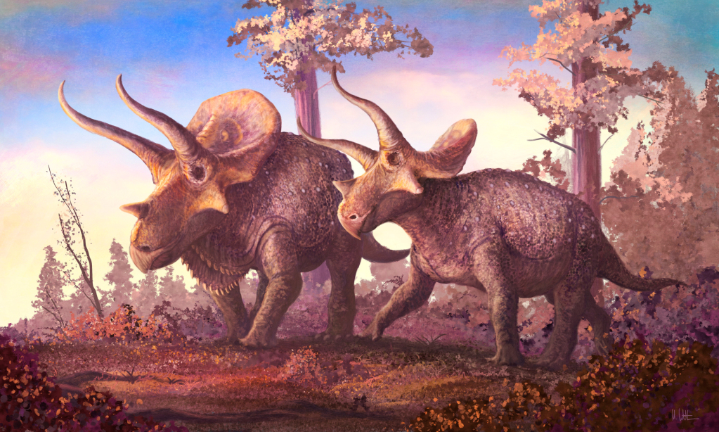 Triceratops dinosaur,s illustration