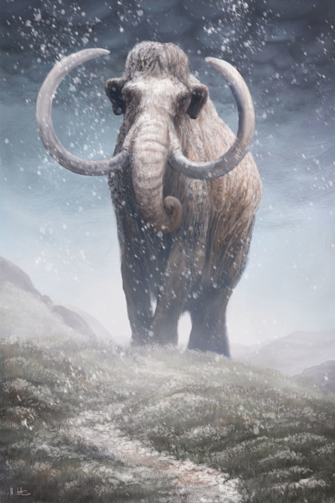 Woolly mammoth, illustration